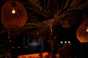 Die beste Shisha Bar in Hamburg - Hängelampen aus Rattan und beleuchtete Palme