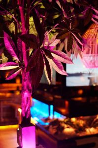Shisha Bar Hamburg