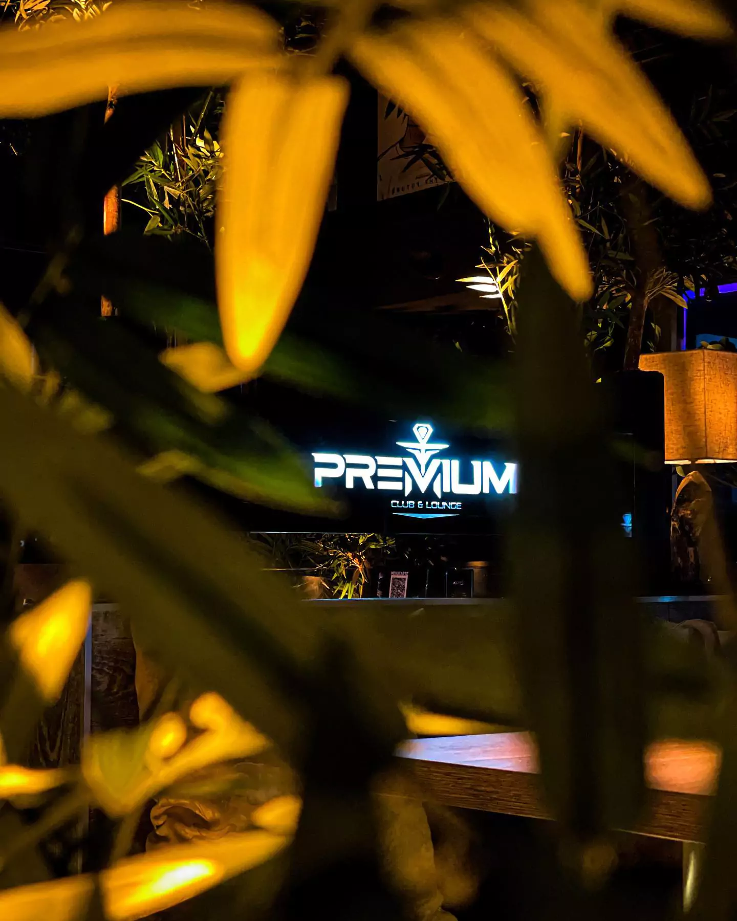 Beleuchtetes Logo des "Premium Club & Lounge" in einer stilvollen Shisha Lounge in Altona, teilweise von Pflanzen verdeckt.