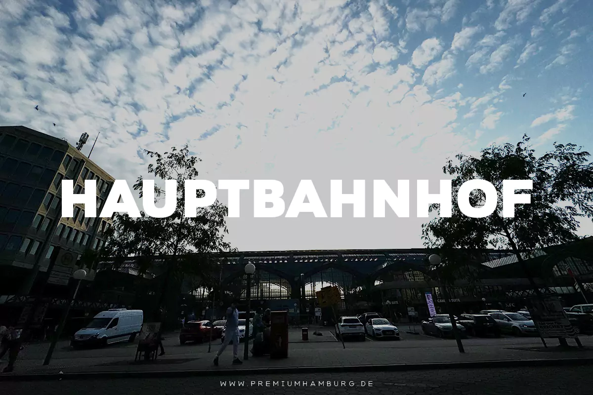 Blick auf den Hamburger Hauptbahnhof bei Tageslicht, mit vorbeifahrenden Autos und einer geschäftigen Atmosphäre.