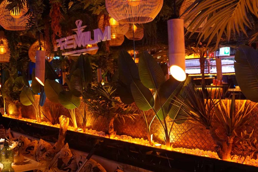 Detailaufnahme der stimmungsvoll beleuchteten Lounge-Ecke in der Shisha Bar Hamburg Hauptbahnhof mit Pflanzen, Kissen und Premium-Logo.