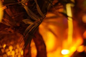 schanze shisha bar 1