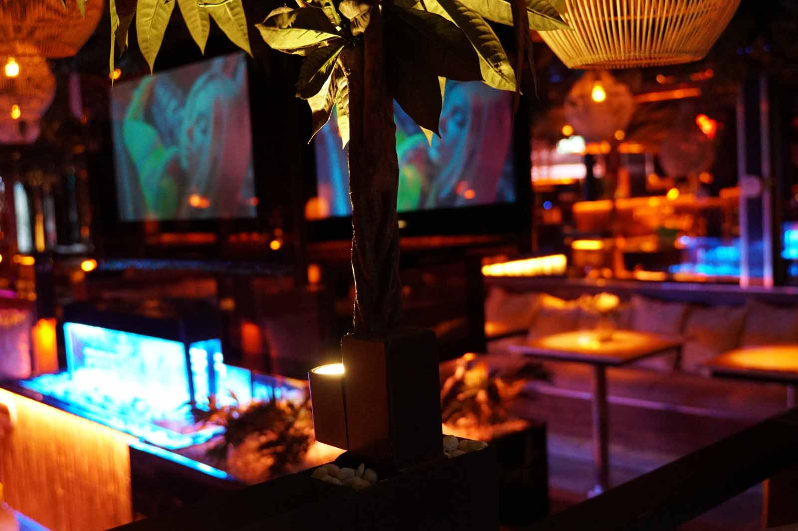 shisha bar hamburg elbphilharmonie