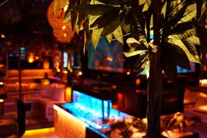 Premium Shisha Lounge Hamburg