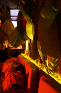 Shisha Bar Hamburg - die beste shishabar in der nähe vom hamburger DOM