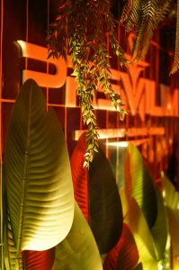 Shisha Bar Hamburg - die beste shishabar in der nähe vom hamburger DOM