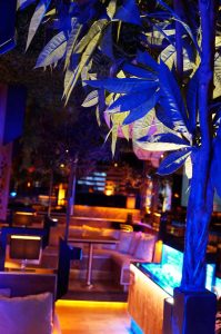 best hookah lounge hamburg - shisha bar hamburg - premium hamburg