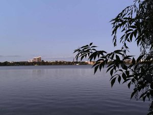 außenalster - außen-alster - außen alster