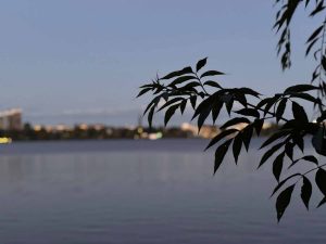 außenalster - außen-alster - außen alster