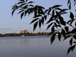 außenalster - außen-alster - außen alster
