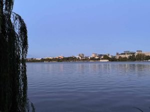 außenalster - außen-alster - außen alster