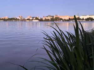 außenalster - außen-alster - außen alster