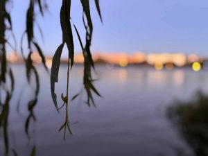 außenalster - außen-alster - außen alster