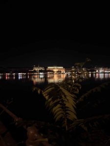 binnenalster hamburg