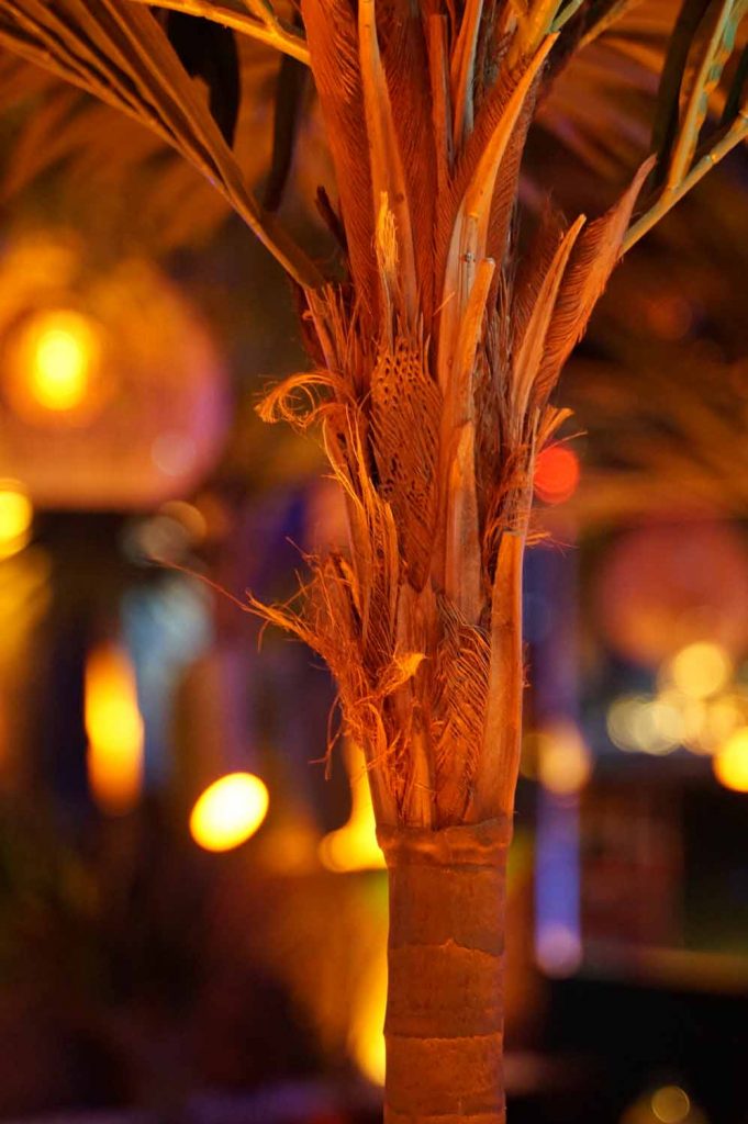 die beste shisha bar in der naehe der alster in hamburg mit der schoensten shisha bar location premium hamburg ganz in der naehe der binnenalster 1 | Alster | PREMIUM - Shisha Bar, Restaurant & Gaming | 14 Oktober 2025 | | Shino