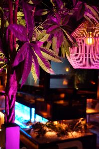 die beste shisha bar in der n#he des hamber doms - premium hamburg - hamburger dom adresse