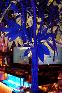 shisha bar hamburg - best shisha bar hamburg & hookah lounge hamburg