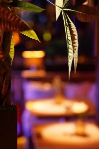 shisha bar hamburg - beste shisha bar hamburg - premium hamburg