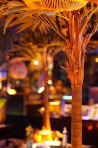 shisha bar hamburg - beste shisha bar hamburg - premium hamburg