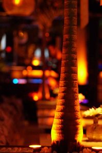 shisha bar hamburg - beste shisha bar hamburg - premium hamburg