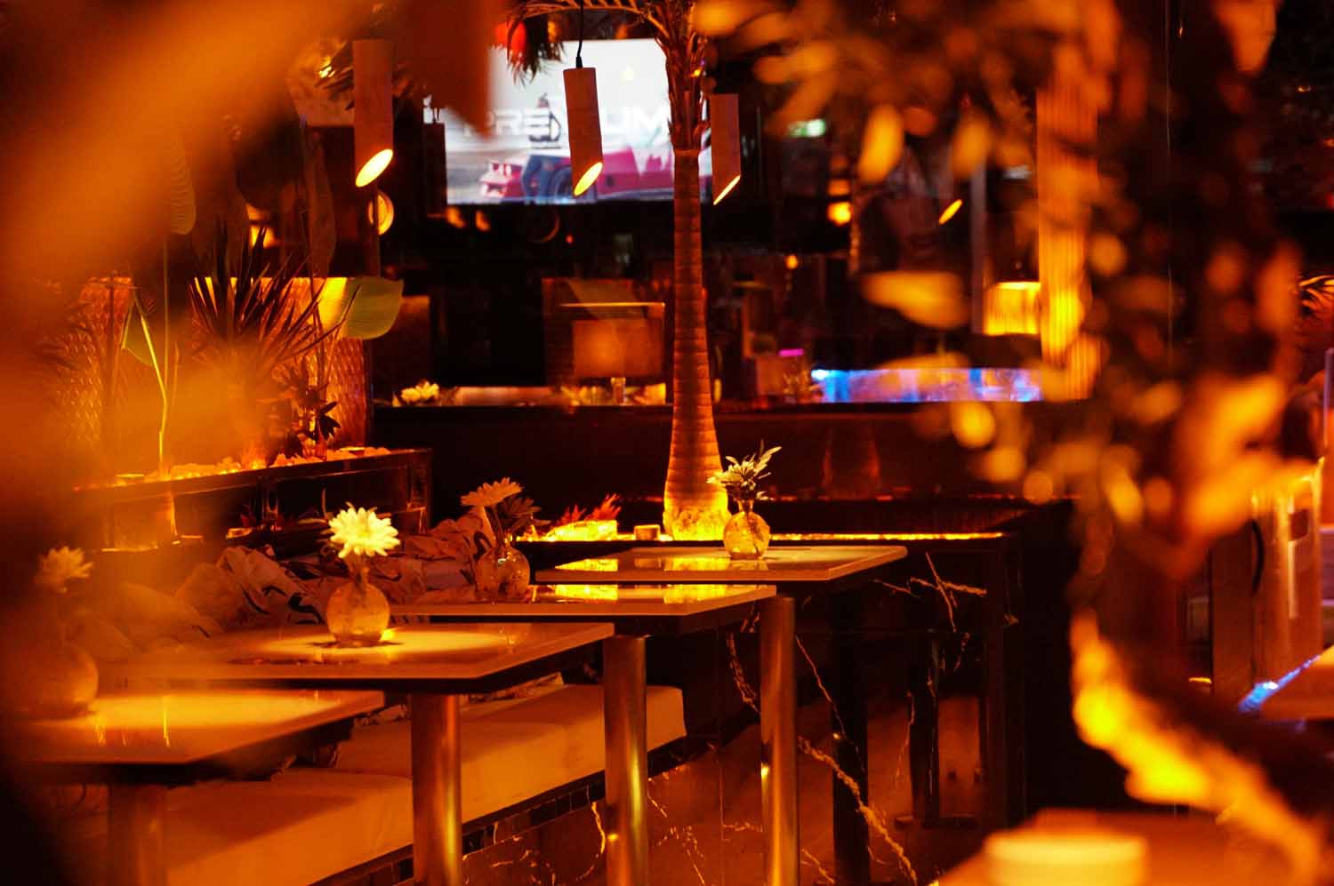 shisha bar hamburg - beste shisha lounge in hamburg - premium hamburg shisha-bar