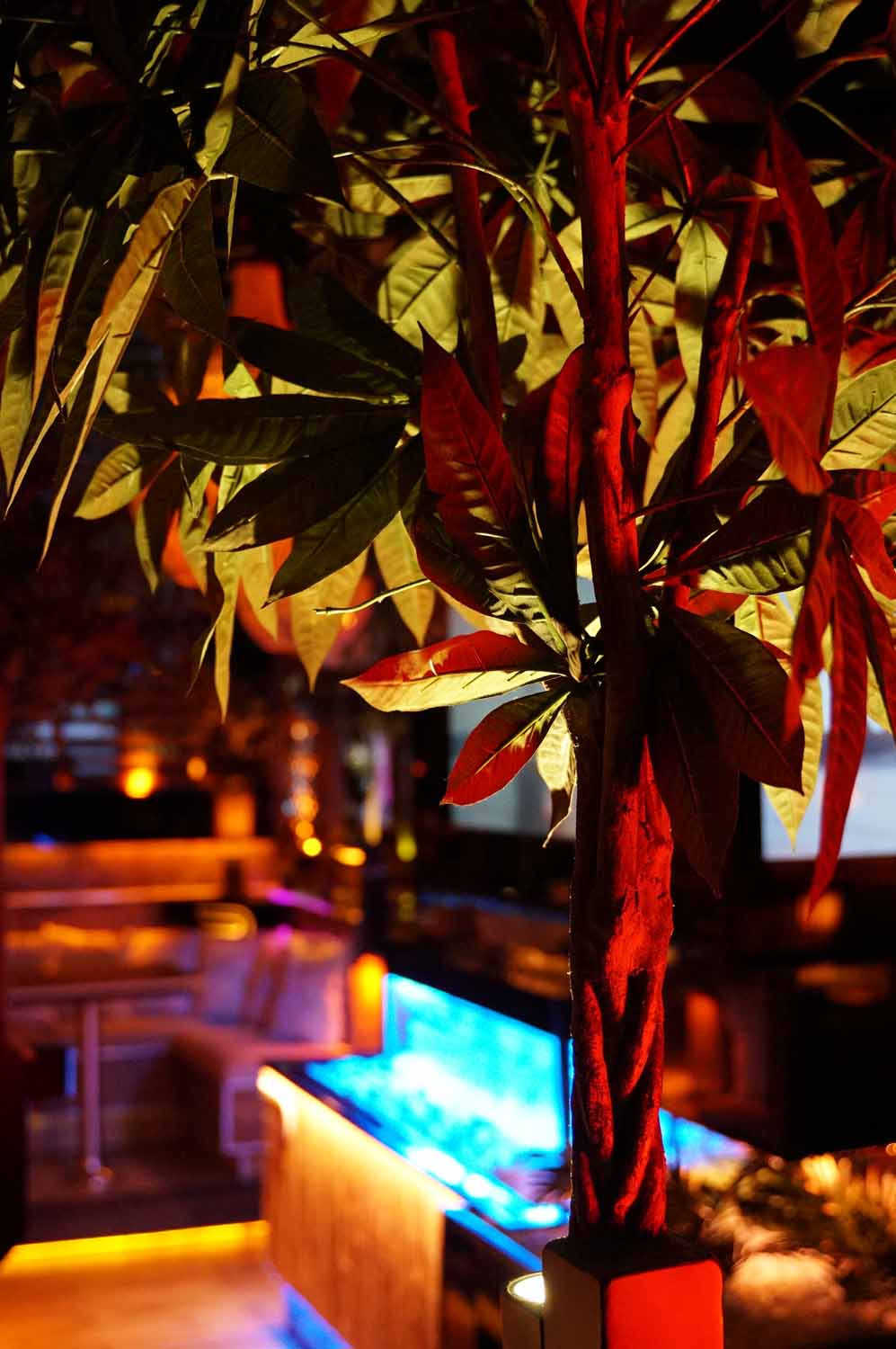 shisha bar hamburg - beste shishabar hamburg - PREMIUM - Shisha Bar, Restaurant & Gaming - shisha lounge & shihsa cafe