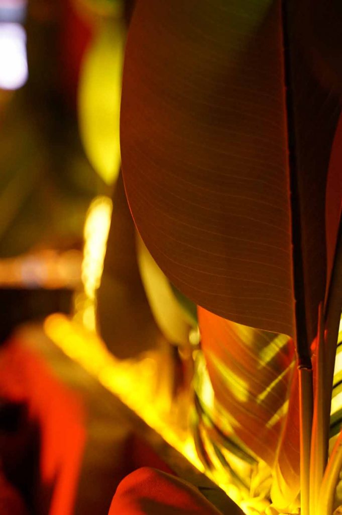 shisha bar hamburg - beste shishabar hamburg - PREMIUM - Shisha Bar, Restaurant & Gaming - shisha lounge & shihsa cafe