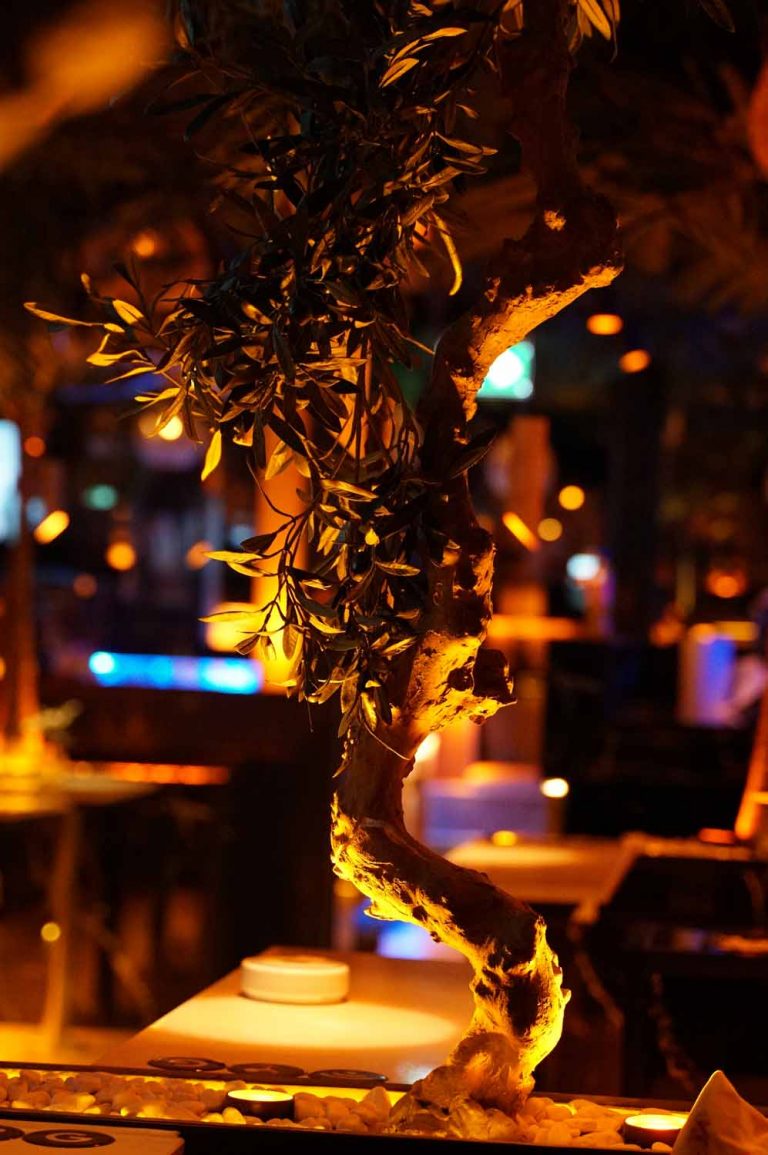 shisha bar hamburg - premium hamburg