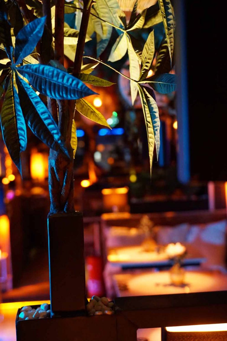 shisha bar hamburg - premium hamburg