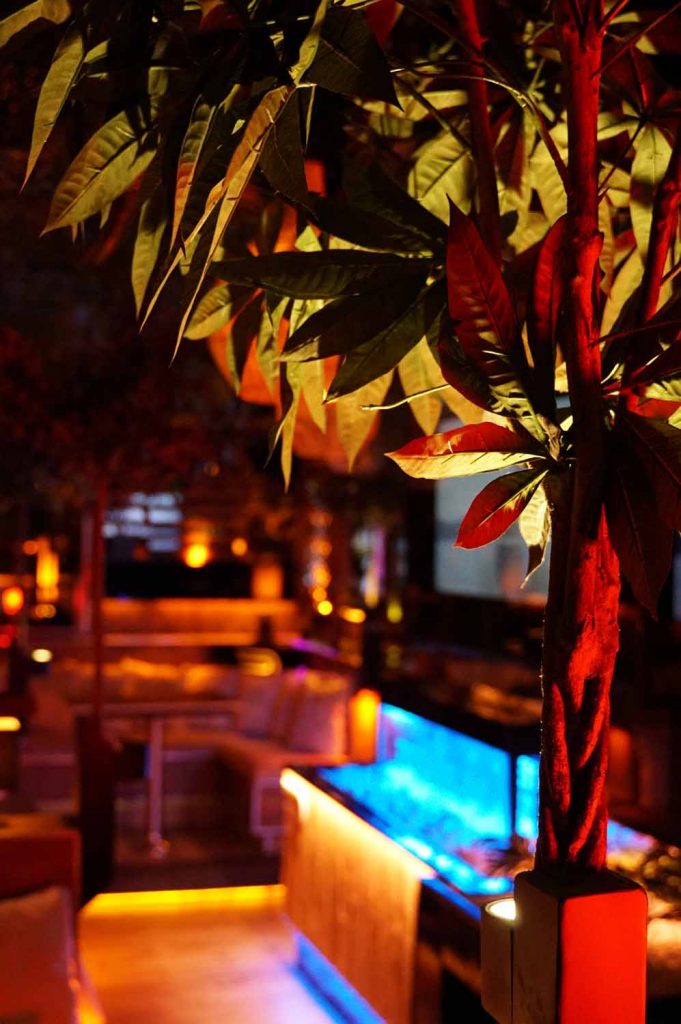 shisha bar hamburg - premium hamburg - beste shisha bar hamburg shisha-bar