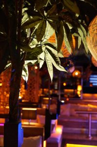 Alsterlagune  1 shisha bar in der nähe der alsterlagune an der alster bzw binnenalster in hamburg - premium hamburg - shisha bar hamburg