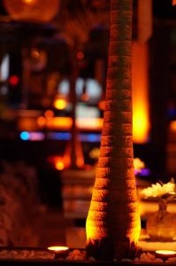 Alsterlagune  3 shisha bar in der nähe der alsterlagune an der alster bzw binnenalster in hamburg - premium hamburg - shisha bar hamburg