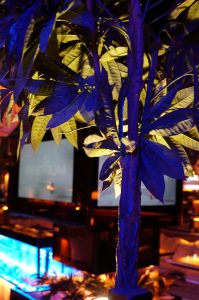 shisha bar in der nähe des hamburg dom