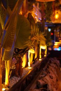 shisha bar in hamburg in der nähe vom Fontenay - premium hamburg - shishabar, shisha-bar