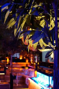 spieltisch shisha bar hamburg - PREMIUM - Shisha Bar, Restaurant & Gaming
